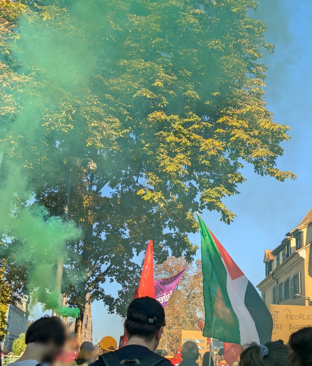 Un fumigène vert devant un grand marronnier, des drapeaux rouges et un drapeau palestinien au-dessus de la foule.