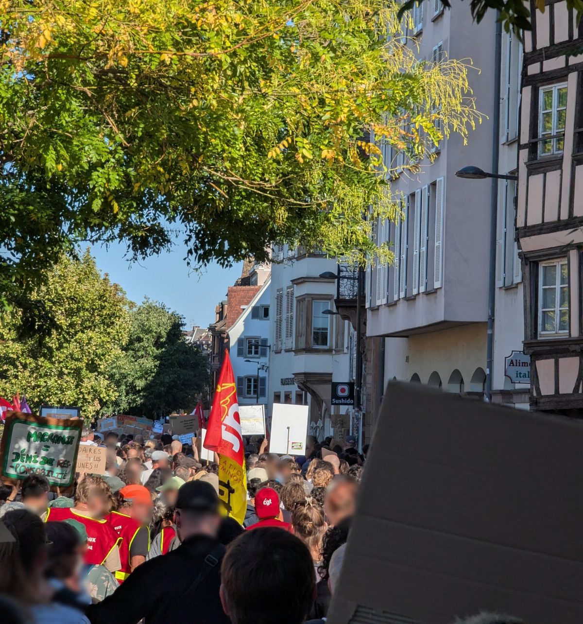 Le cortège vu de dos sur le quai des Bateliers : drapeau de la CGT cheminots, pancarte « Macronie = déni de responsabilité », façades à colombages.