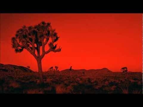 Le désert de Joshua Tree au crépuscule